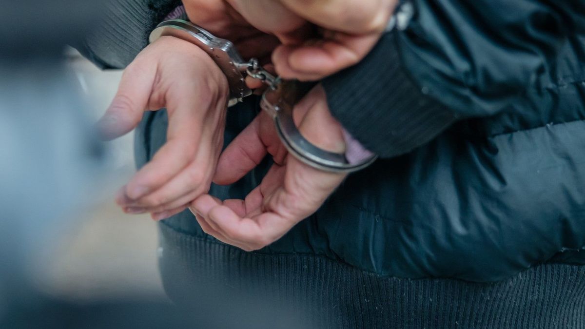 Тоқаев экономикалық қылмыстарды декриминализациялауды тапсырды