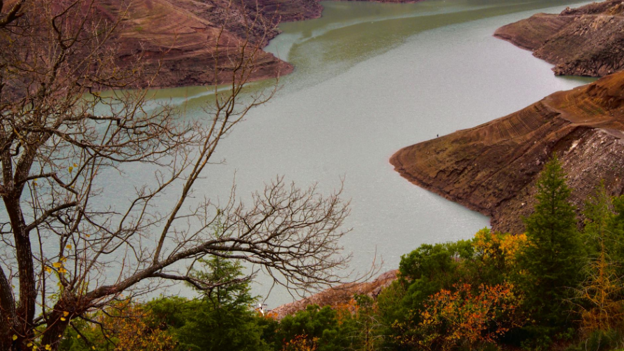 Сбой в Halyk SuperApp 5 января: часть клиентов не входила, платежи задерживались