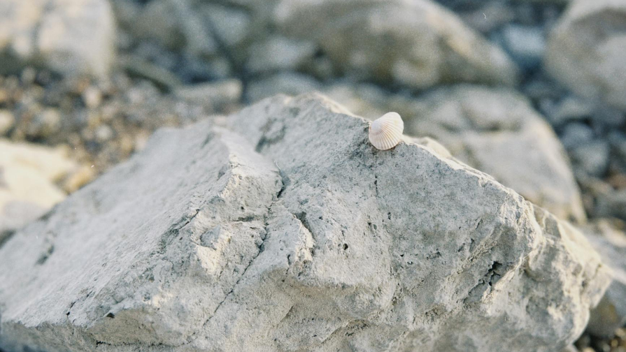 Вертолеттік түсірумен 1000 км²: KAZ Minerals барлауды екі аптада аяқтап, ЖИ-ге өтеді