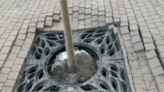 Алматылықтарды Достық даңғылының реконструкциясы ашуландырды