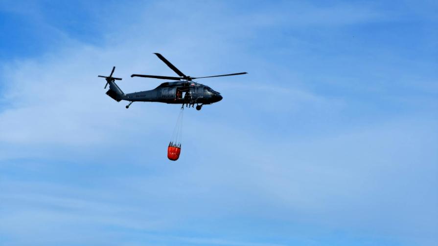 Jangeldınde joǵalǵan januıany izdeý jumystary jalǵasýda