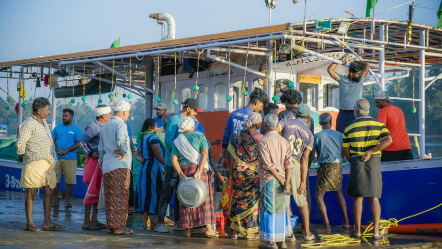 Астана маңындағы балықшыларға степная түлкі шабуыл жасады