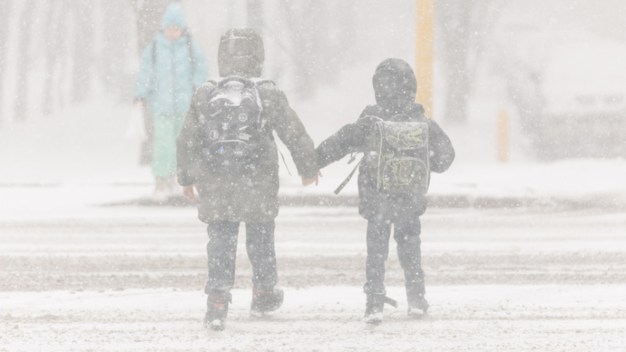 استاناداعى وقۋشىلار قاشىقتان وقۋعا كوشتى