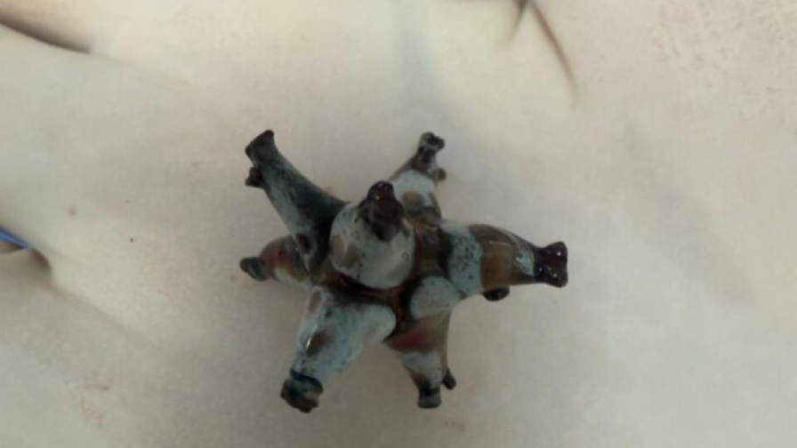 Shymkentte dárigerler erekshe pishindi tasty alyp tastady