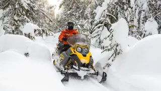 Мигранттарды қарда жүретін көліктермен тасымалдаған: ІІМ ауқымды арнайы операция өткізді