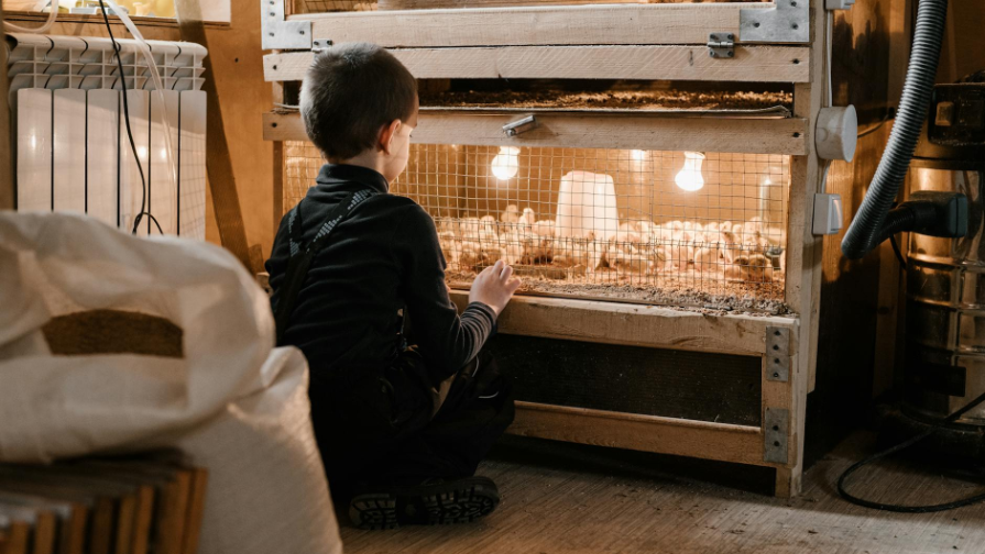 Kazakh MP Proposes Layoffs at QazaqGaz to Fund Gasification Projects