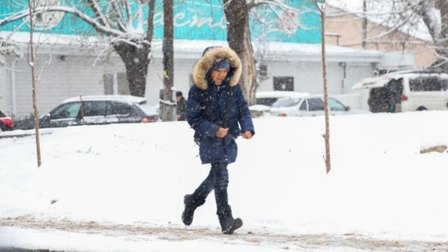 Астана: Из-за морозов ученики начальных классов переходят на дистанционное обучение 13 февраля