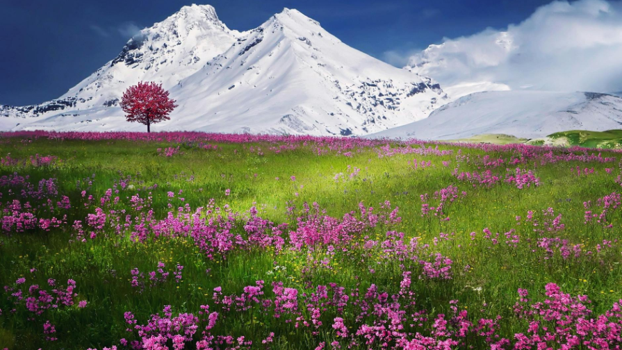 بلوگەرى يز ۋزبەكيستانا سراۆنيلي الماتى ي تاشكەنت: كاكوي گورود «كرۋچە»؟