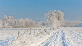 Kazakhstan Weather Alert: Snowfall Expected as Cold Snap Recedes