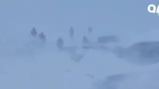 Drivers Ignore Road Closure Warnings، Cause Major Crash in Winter Storm