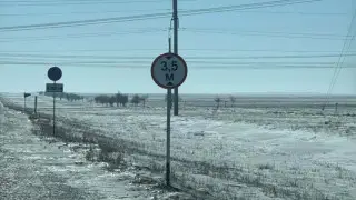 Abaı oblysynda 20 mysyq pen mysyqshany dalaǵa tastap ketti