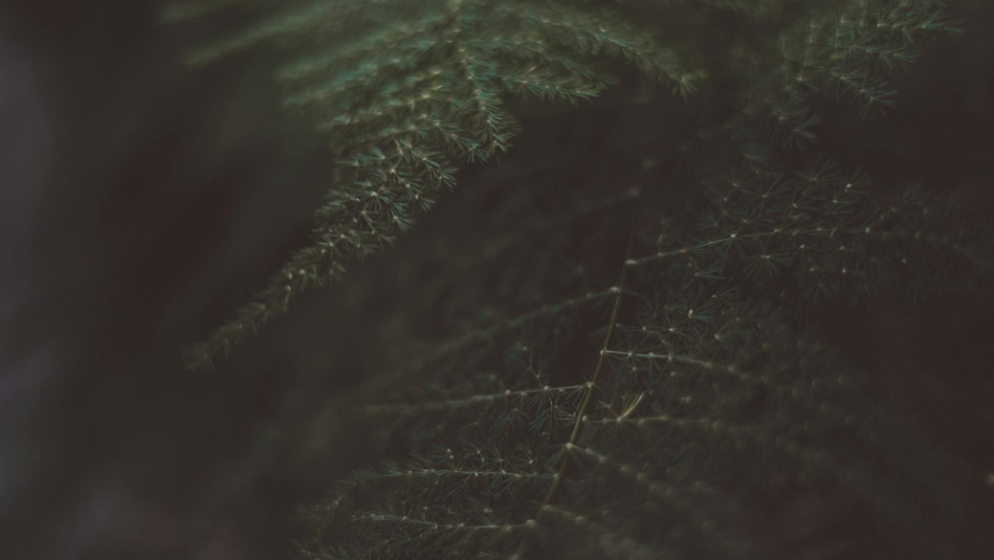 "سوعىس توقتايدى": زەلەنسكيي پۋتينگە قىسىم جاساۋ قاجەتتىگىن ايتتى