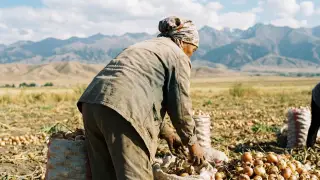 Kazakhstan Woman Returns Home a Month After Being Declared Dead