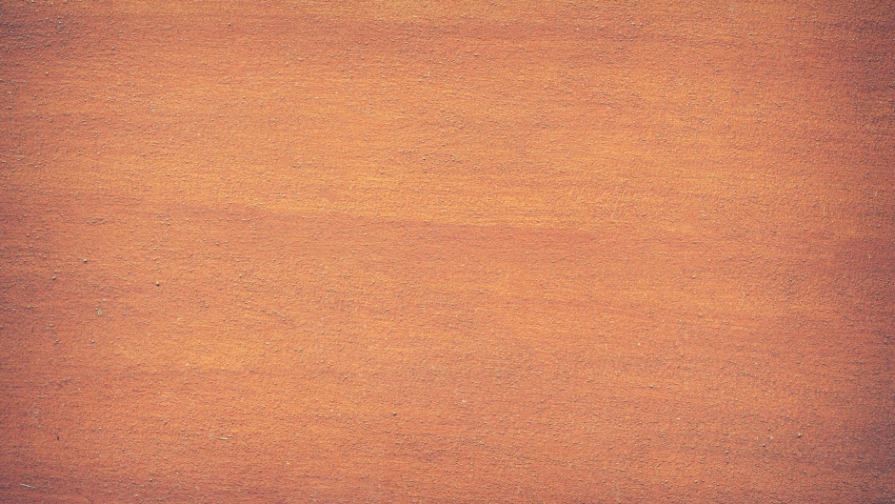 Kazahstanskıe short-trekısty Ajıgalıev ı Nıkısha vyshlı v chetvertfınal Olımpıady v Italıı