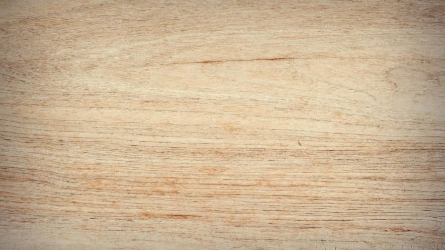 Бауыржан Байбектің әкесі қуатты байыту фабрикасын іске қосады