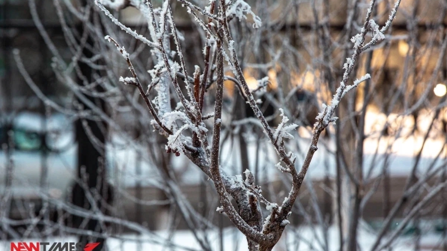 قازاقستاندى 37 گرادۋس اياز كۇتىپ تۇر: سينوپتيكتەر ەسكەرتەدى