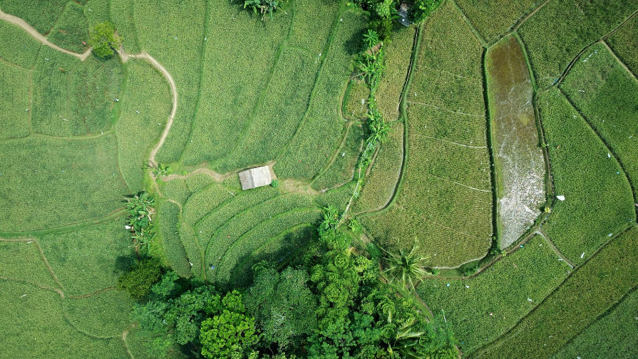 Qaraǵandy oblysyndaǵy birtúrli jaǵdaı: bir jerde eki adam jerlengen be?