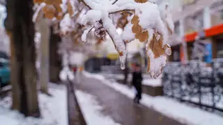 قازاقستان قالالارىنداعى اۋا رايى: 22 اقپانعا ارنالعان بولجام