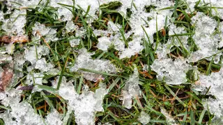 Қазақстанның оңтүстігін қалың аяз жайлайды