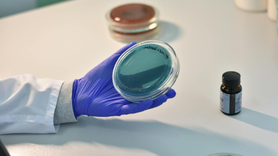 LRT ۆ استانە: كاك بىسترو دوبراتسيا يز اەروپورتا دو ۆوكزالا؟