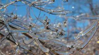 Astana zamerznet, Almaty okajetsá vo vlastı gololeda: prognoz pogody na 3 dná