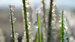 Қазақстанда 51 жылдық тарихы бар температура рекорды жаңартылды