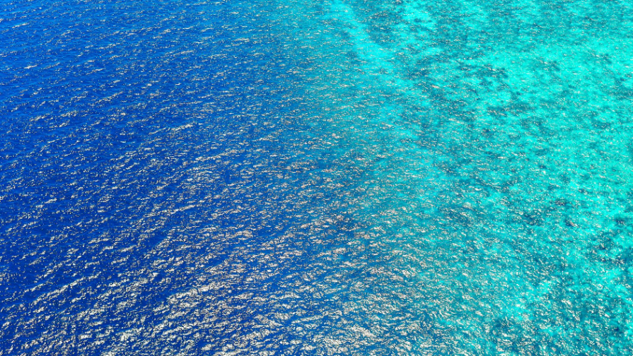 Атыраудағы қанды қылмыс: Күдікті күйеубала Индонезияда қолға түсті