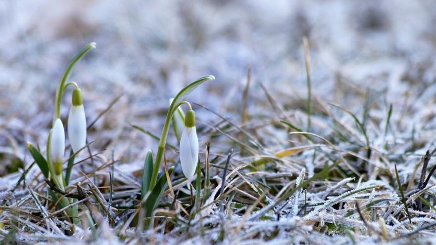 Наурыз айында Қазақстан ауа райы қандай болады?