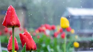 Наурыз қарсаңында Астана мен Алматыда ауа райы қандай болады?