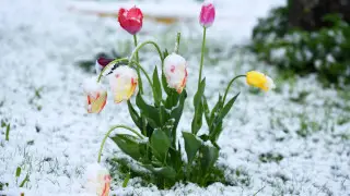 كوكتەم ەرتە كەتتى مە؟ قازاقستانعا -25 گرادۋس اياز قايتا ورالادى