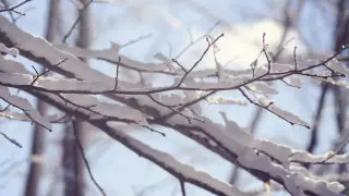 Qazaqstan boıynsha daýyldy eskertý jarıalandy: 9 naýryzdaǵy aýa raıy