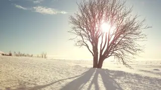 رەزكوە پوحولودانيە: ۆ كازاحستان ۆەرنۋتسيا موروزى دو -30 گرادۋسوۆ