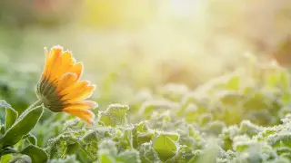 استانا مەن الماتىنى قالىڭ قار مەن اياز باسادى: تەمپەراتۋرا كۇرت تومەندەيدى