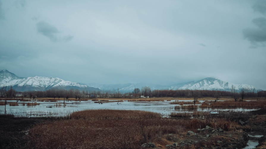 پيەۆيسا سيۆيەتتا ماحمۋدي زايمەتسيا دوبىچەي زولوتا ۆ كازاحستانە