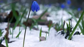 Қазақстан бойынша жексенбіде +14 градусқа дейін жылынады: Ауа райы болжамы