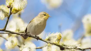 Казахстан ожидает потепление до +23 градусов: прогноз синоптиков