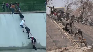 New Art Installation Honors Inspiring Dog Rescue Near Almaty's Sairan Lake