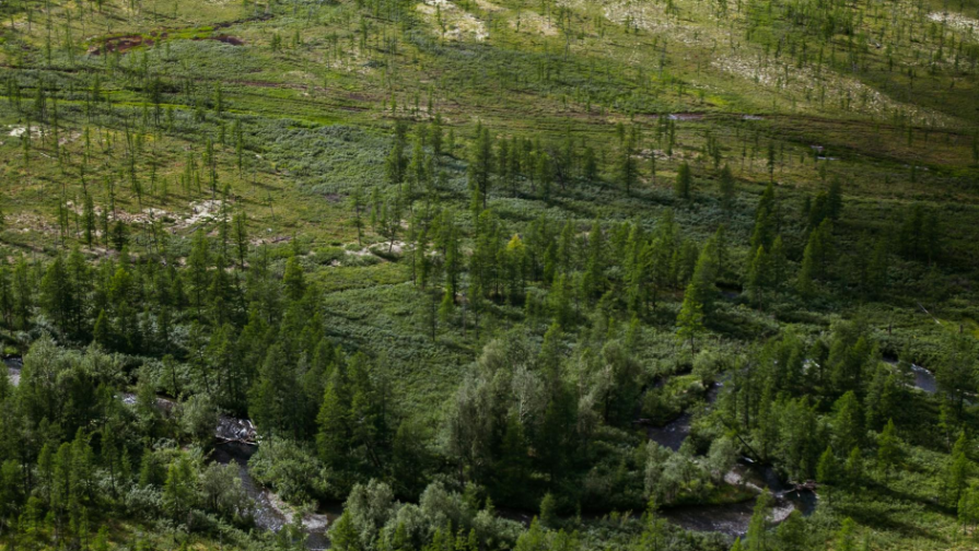 Ýchenye: Sezonnye sıkly Zemlı narýsheny, vremena goda «sdvıgaıýtsá»