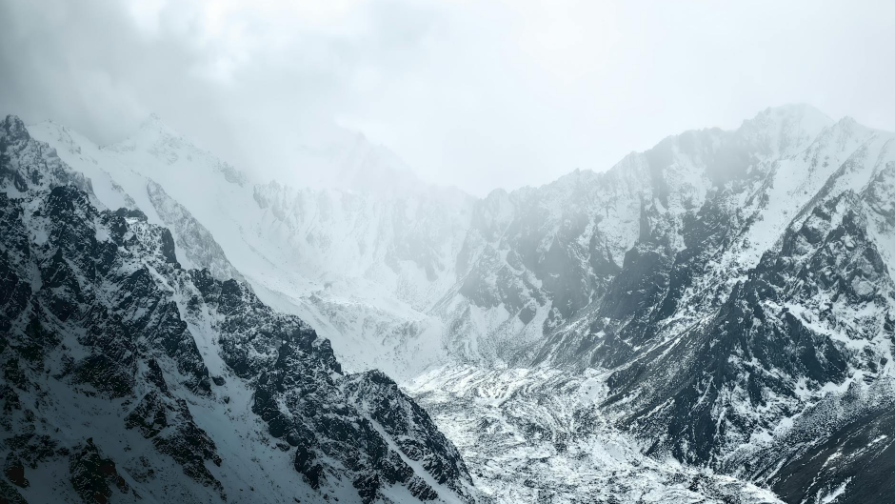 Almaty Crash: Families Demand Justice and Open Trial for Fatal Accident Victims