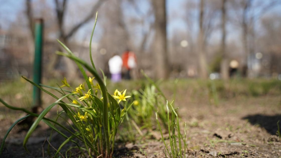 Қазақстанның 25 наурыздағы ауа райы: Көктем жылымы мен қысқы суық қатар келеді