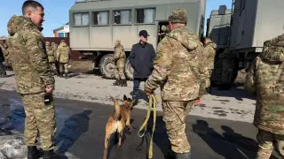 Mother's Plea: Massive Search Underway for Missing Kostanay Student