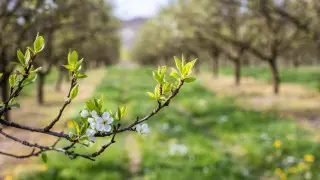 Қазақстан бойынша 30 наурыздағы ауа райы: +29 градус ыстық пен найзағайлы жаңбыр