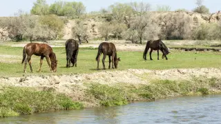 Астана мен Алматыдағы ауа райы: 2-4 сәуір аралығында найзағай мен +29 градус күтілуде