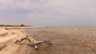 ۋچەنىي: كاسپييسكوە مورە نە يسچەزنەت، ۋروۆەن ۆودى ستابيليزيرۋەتسيا