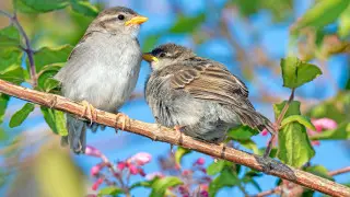Astana men Almatydaǵy aýa raıy: sınoptıkter jylymyq qashan keletinin habarlady