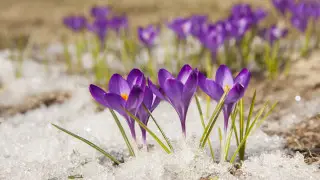 قازاقستاندا 109 جىل بۇرىنعى تەمپەراتۋرا رەكوردى جاڭارتىلدى