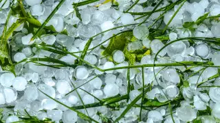 قازاقستاننىڭ كەيبىر ايماقتارىندا قار مەن بۇرشاق جاۋادى: اۋا رايى كۇرت وزگەرەدى