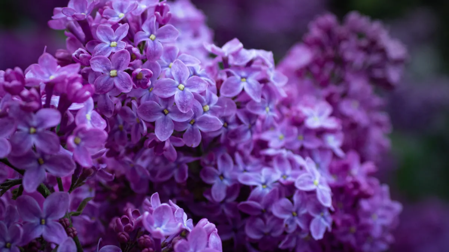 سيرەندى ۇزۋگە بولمايدى: قازاقستاندىقتارعا 216 مىڭ تەڭگەگە دەيىن ايىپپۇل سالىنۋى مۇمكىن