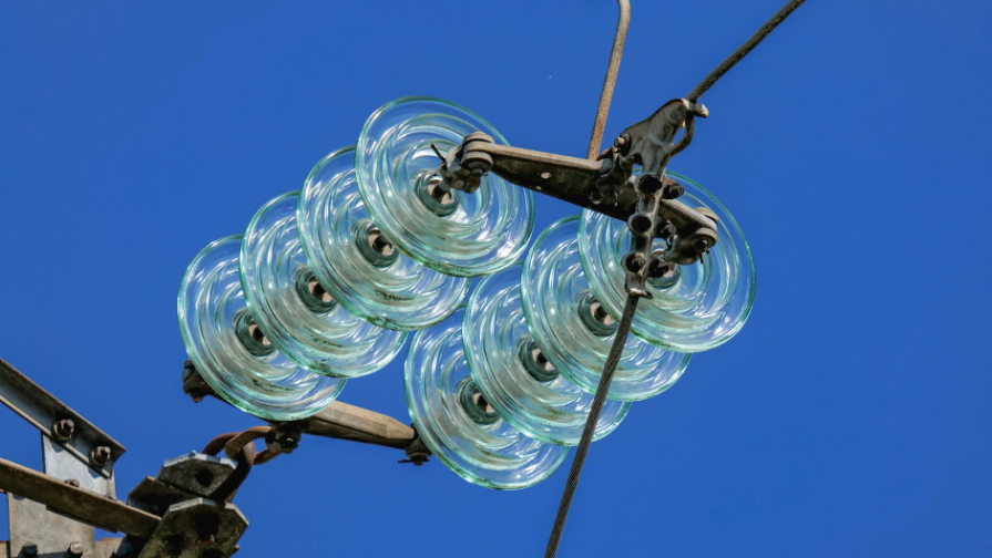 Man Convicted of Abusing Stepdaughters Dies in Detention Amidst Brawl