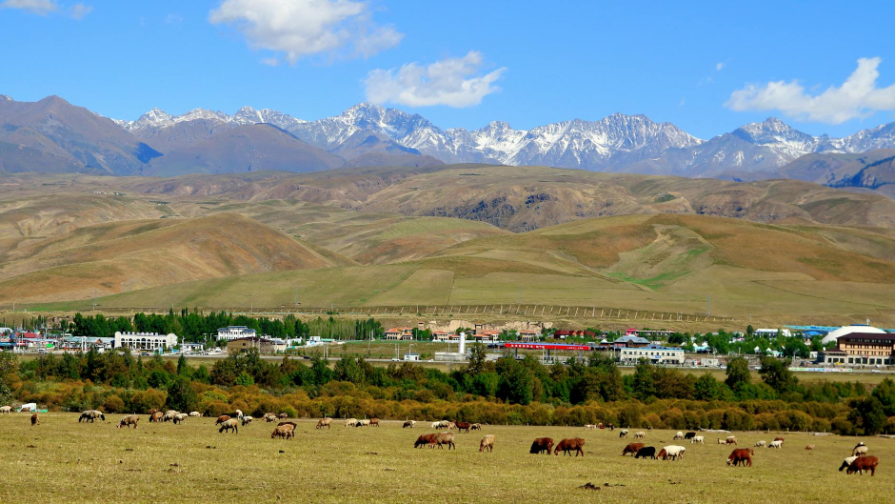 Ләйлә Сұлтанқызы встретилась с матерью Батырхана Шукенова: «У меня выступили слезы»